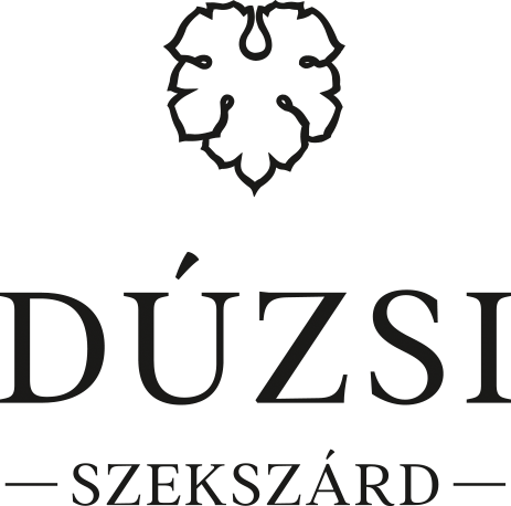 DUZSI_LOGO.png